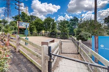 Dog park